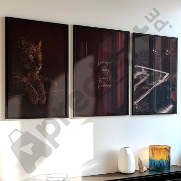 Cuadros Aesthetic - Misterio y Elegancia - Set de 3
