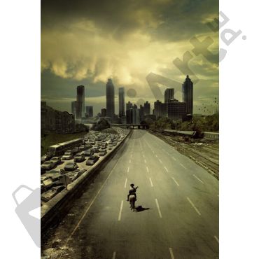 Póster de películas - The Walking Dead poster