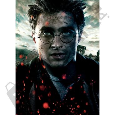 Pósters de Harry Potter - Harry