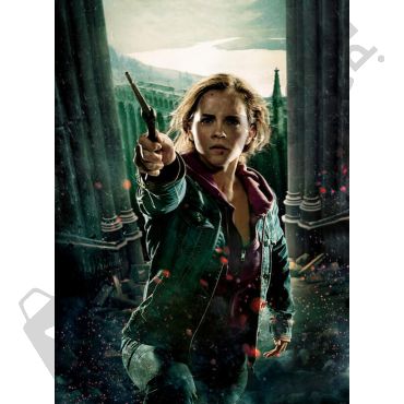 Pósters de Harry Potter - Hermione