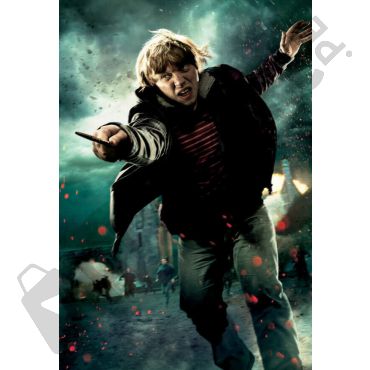 Pósters de Harry Potter - Ron