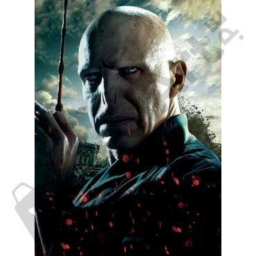 Pósters de Harry Potter - Voldemort