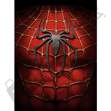Pósters de Spiderman original