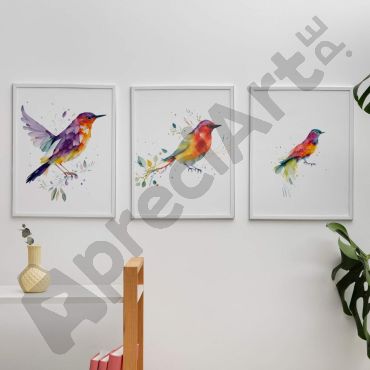 Cuadros de Aves - Aves Tropicales - Set de 3