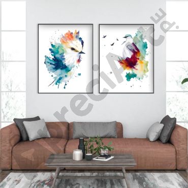 Cuadros de aves: Plumaje Real - Set de 2