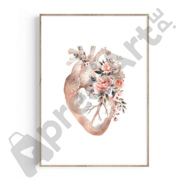 cuadro anatomia del corazon