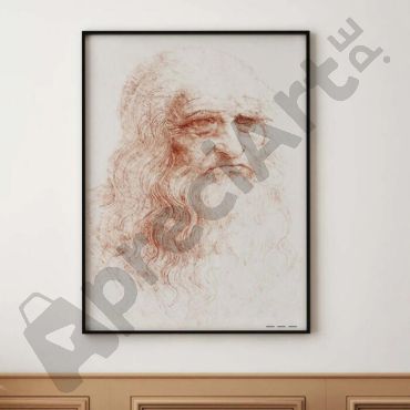 Cuadro de Da Vinci - El Autorretrato