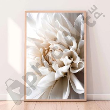 Cuadro de Dalia Blanca