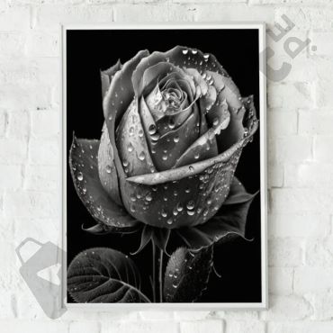 Cuadro de Gotas en la Rosa