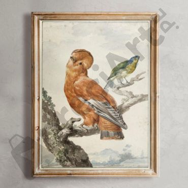 cuadro de pajaros vintage