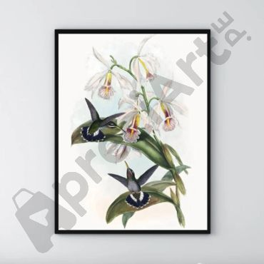cuadro de pajaros y orquideas