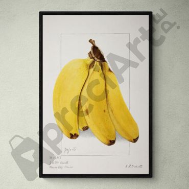 
cuadro de platanos
