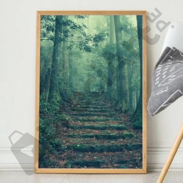 cuadro paseo por el bosque