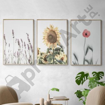 cuadros decorativos flores de verano