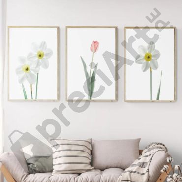 cuadros decorativos margaritas y tulipanes