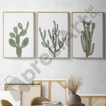cuadros de cactus