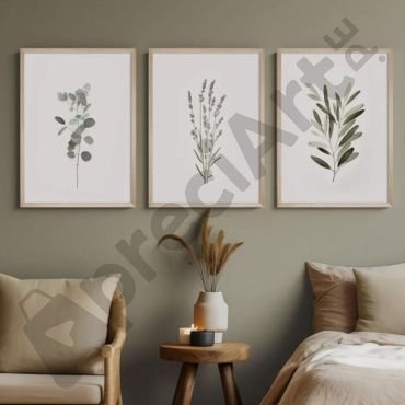 cuadros de eucalipto minimalista