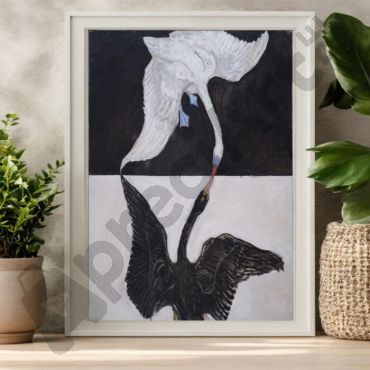 cuadros decorativos cisne blanco y negro