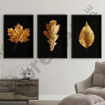 Cuadros Fotográficos - El Lujo de La Naturaleza - Set de 3