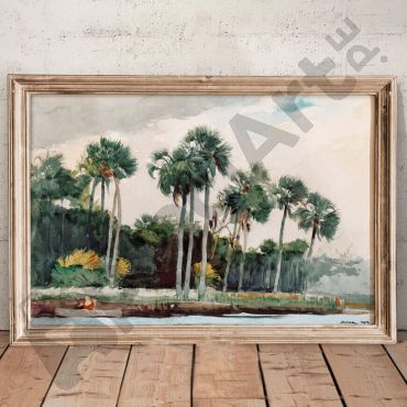 paisaje de palmeras