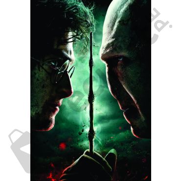 Poster de Películas - Harry Potter y Voldemort