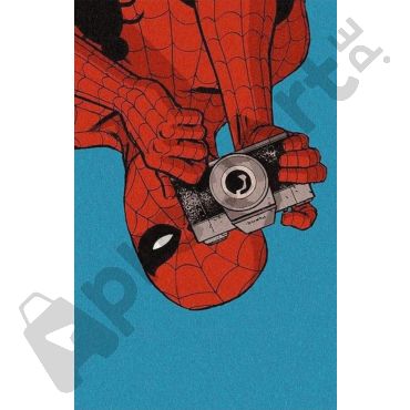 poster spiderman fotografo
