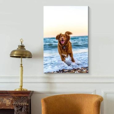 Impresiones Fotográficas En Canvas de tu Mascota