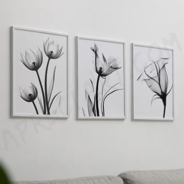 Cuadros de Flores - Oscuridad Floral