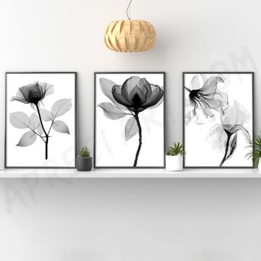 Cuadros de Flores - Oscuro Encanto