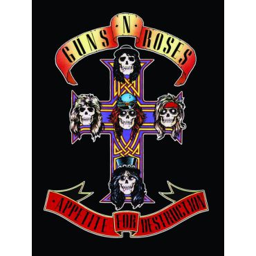 Póster de Guns and Roses - Guns and Roses