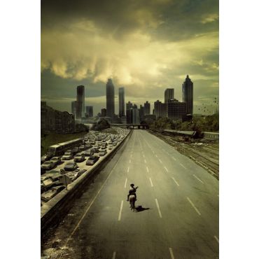 Póster de películas - The Walking Dead poster
