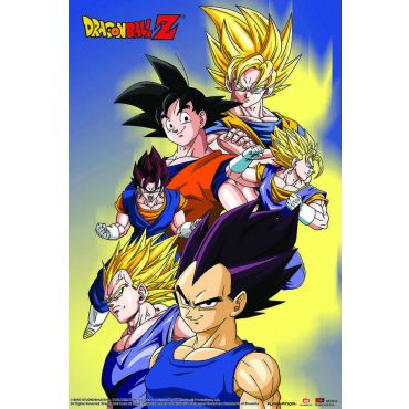 Pósters de Dragon Ball - Fases de Goku y Vegeta