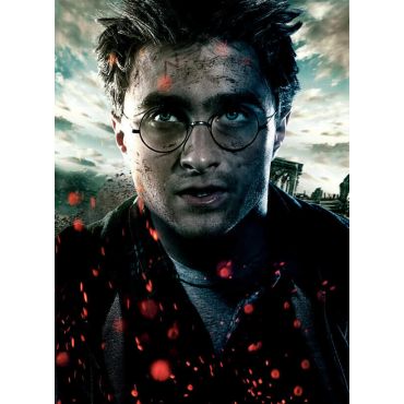 Pósters de Harry Potter - Harry