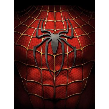 Pósters de Spiderman original