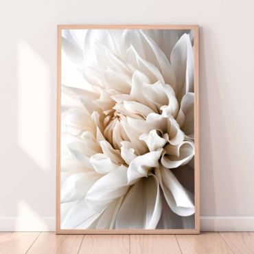 Cuadro de Dalia Blanca