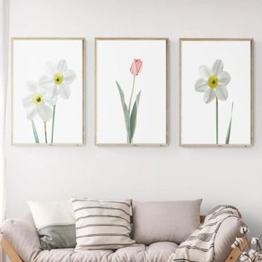 cuadros decorativos margaritas y tulipanes