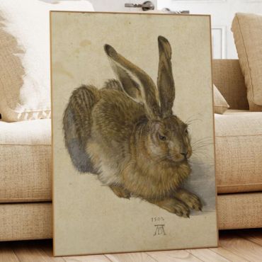 cuadros decorativos hase de albrecht durer