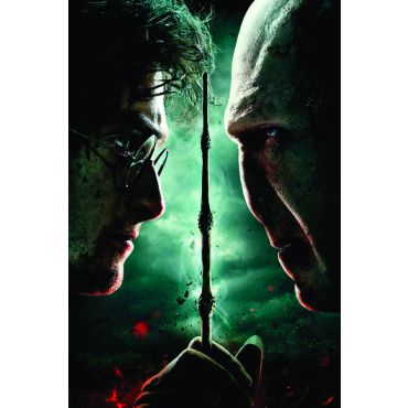 Poster de Películas - Harry Potter y Voldemort