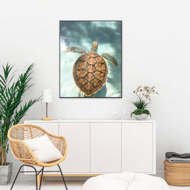 Cuadros de Animales - Tortuga Marina