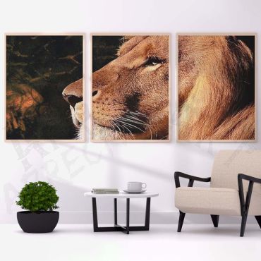 Cuadros de Animales - El Rey - Set de 3