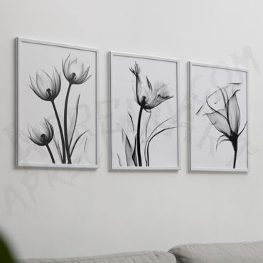 Cuadros de Flores - Oscuridad Floral