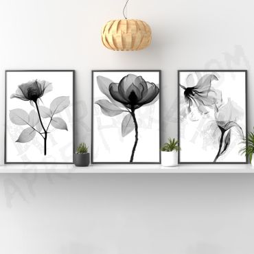 Cuadros de Flores - Oscuro Encanto