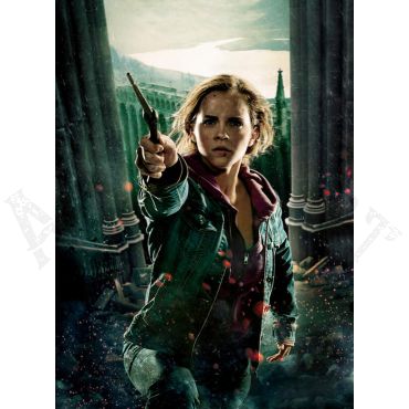 Pósters de Harry Potter - Hermione