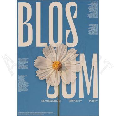 Pósters Aesthetic - Blossom