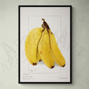 
cuadro de platanos