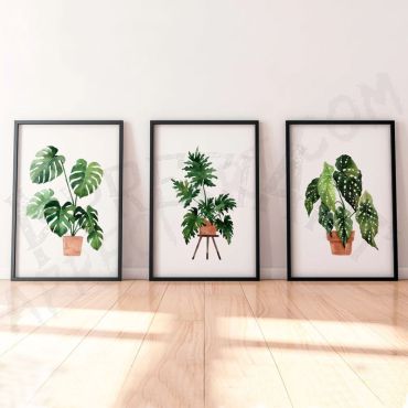 cuadros de juego botanico